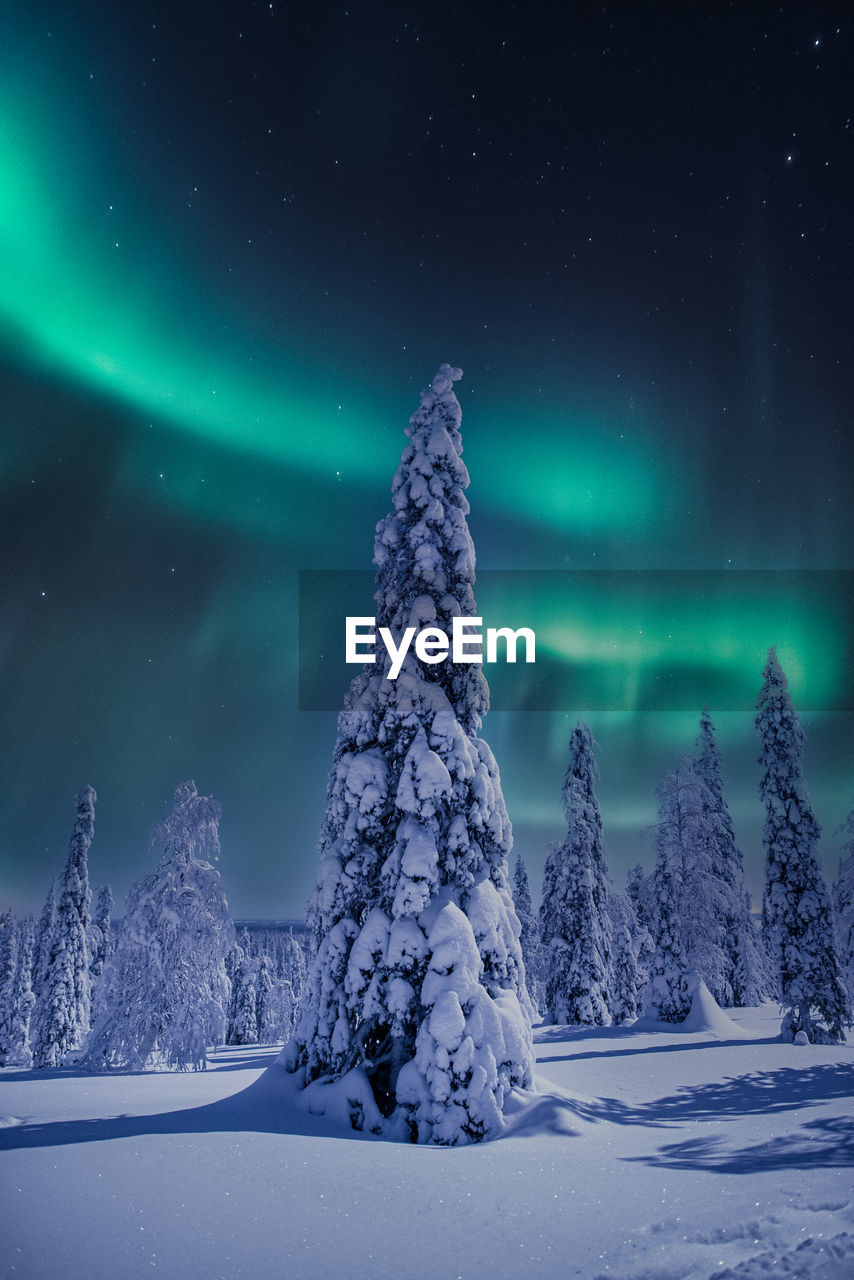 Scenic view of snow covered landscape against sky at night