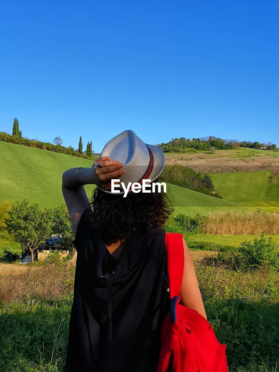 Girl admires green wheat countryside