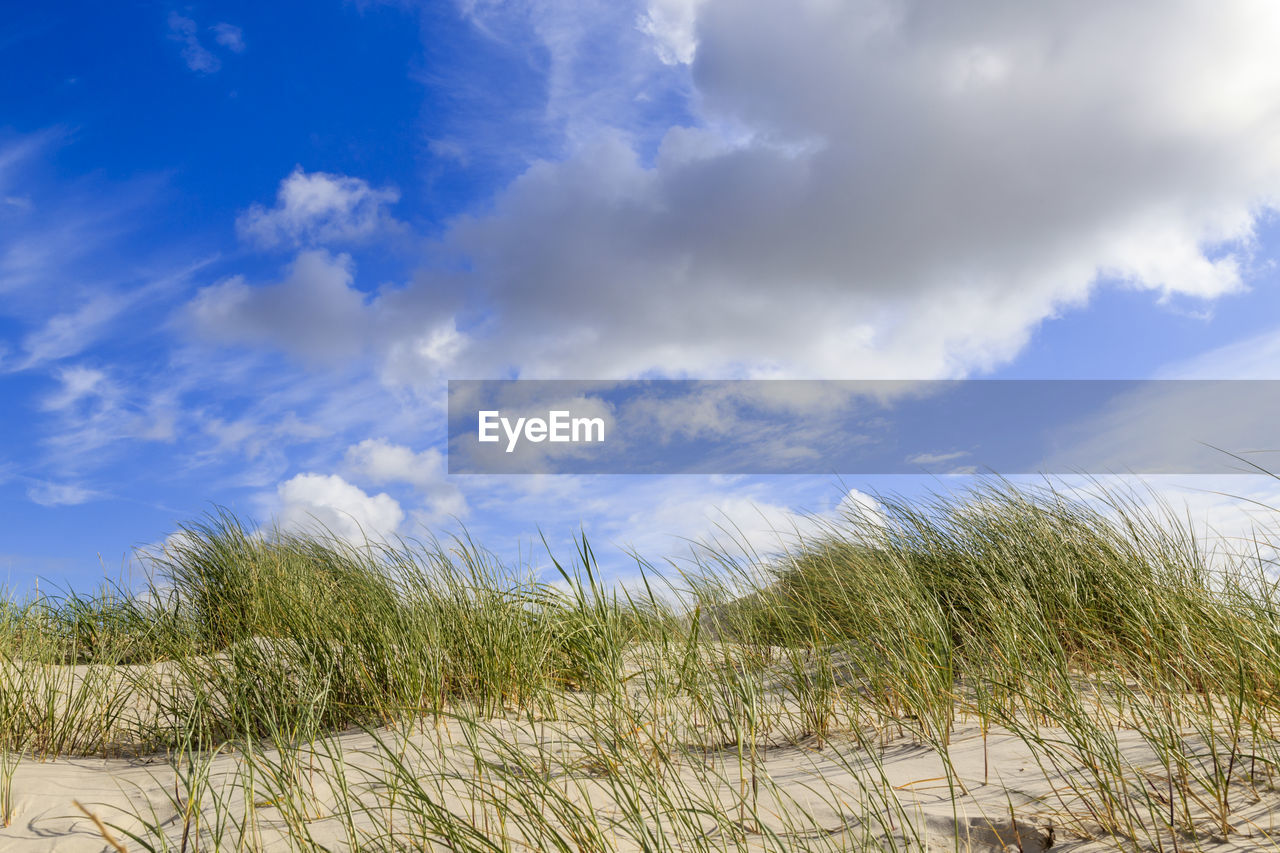 Scenic view of beach against blue sky