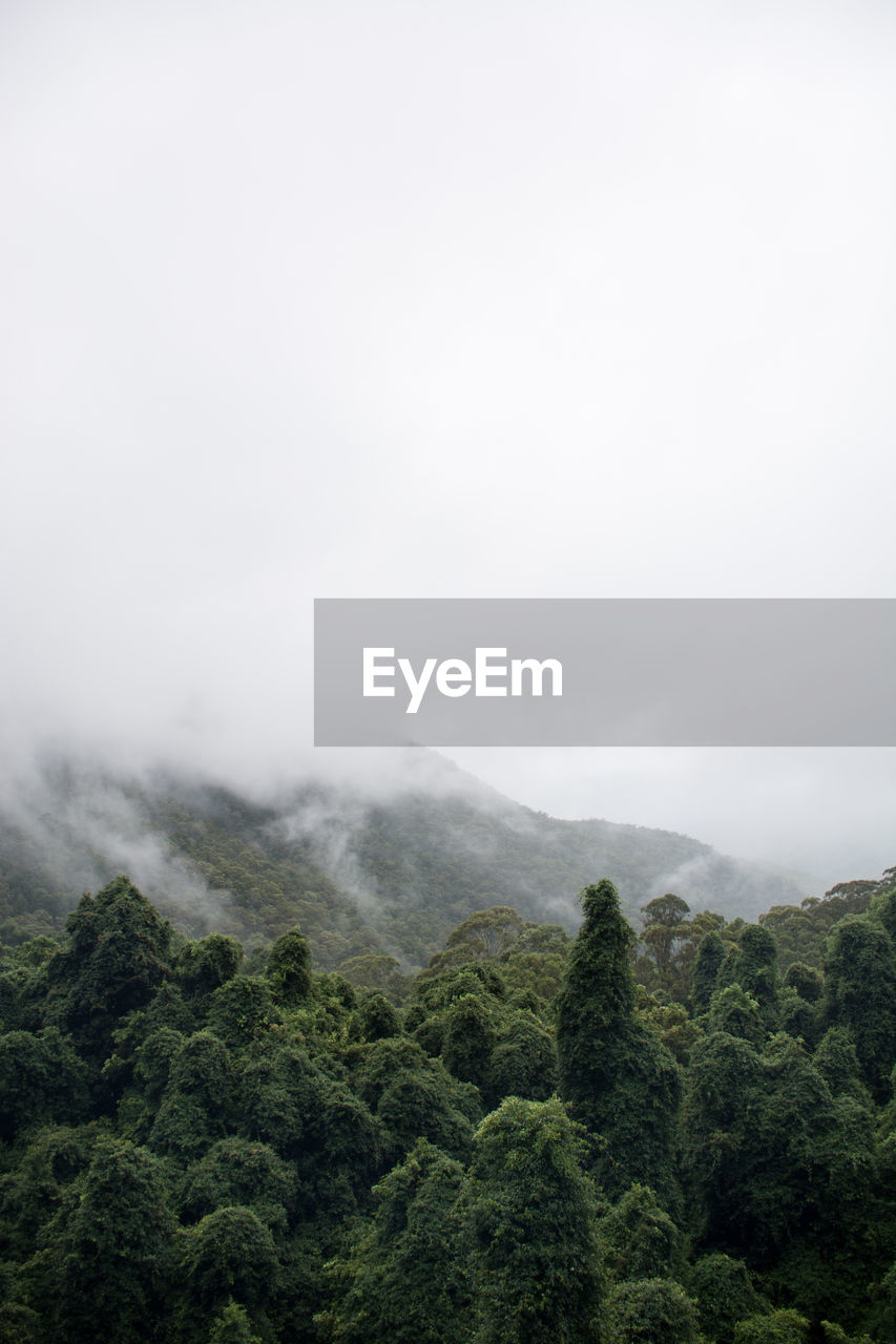 Scenic view of tree mountains against sky, disappearing in unknown and fading out in silence 