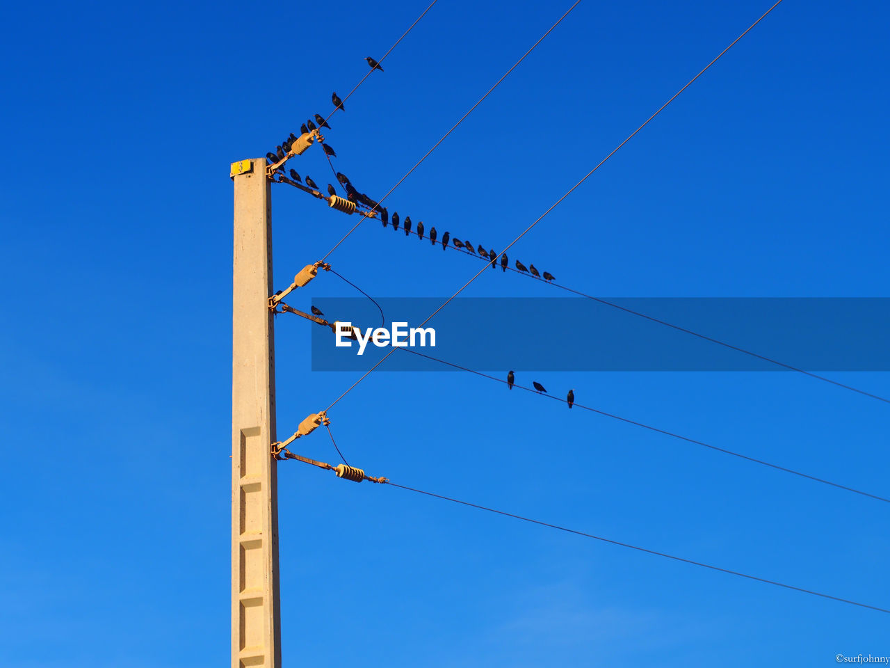 Low angle view of birds perching on power lines against clear blue sky