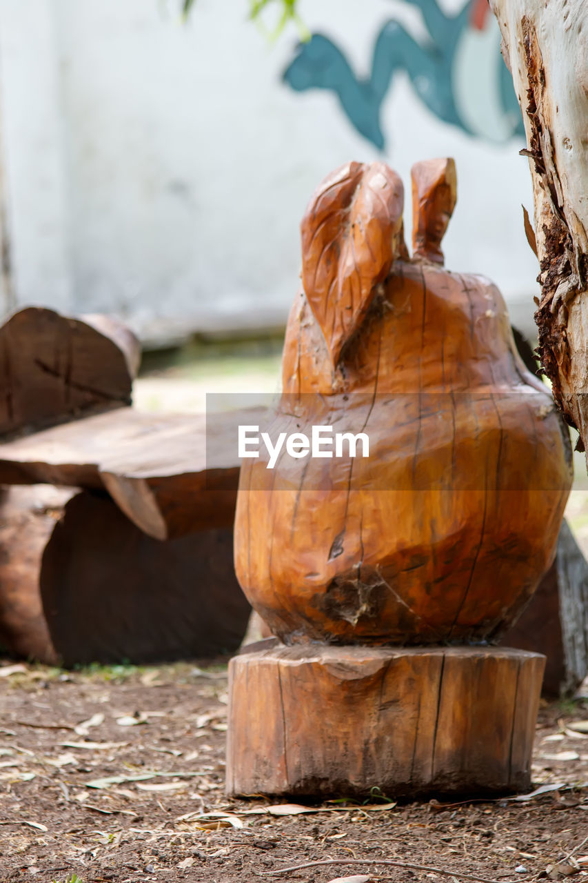 wood, art, sculpture, nature, no people, tree, day, chainsaw carving, outdoors, autumn, leaf, focus on foreground, plant, craft