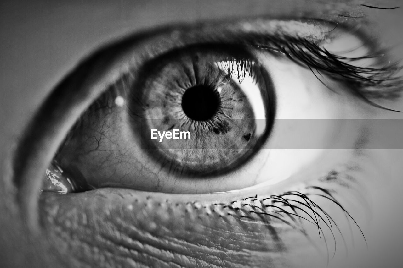 Cropped image of human eye