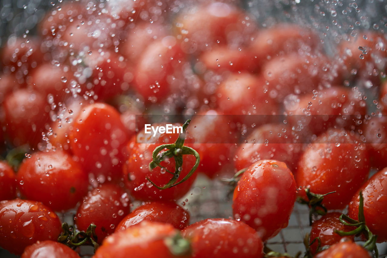 Close-up of water spray on the tomatoes