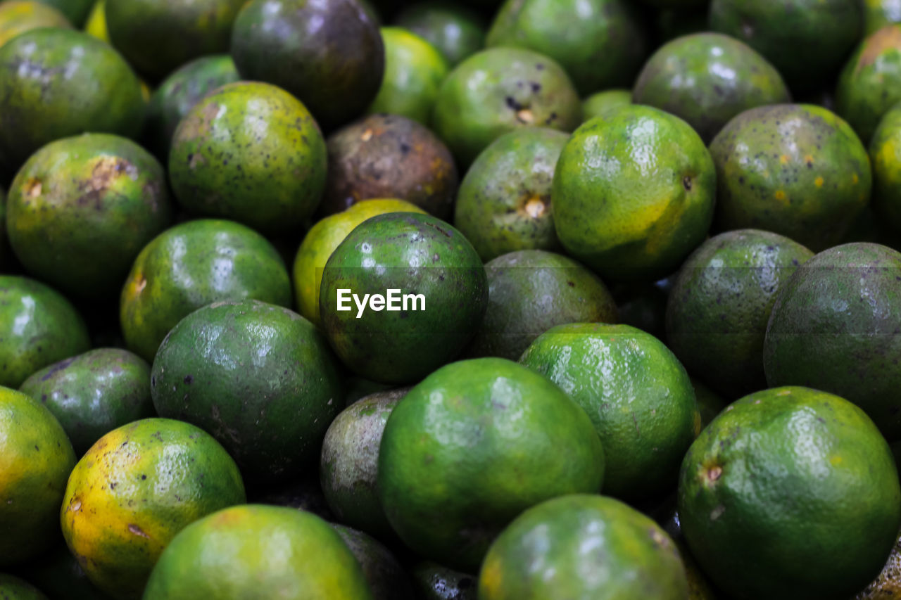 FULL FRAME SHOT OF FRESH GREEN FRUITS