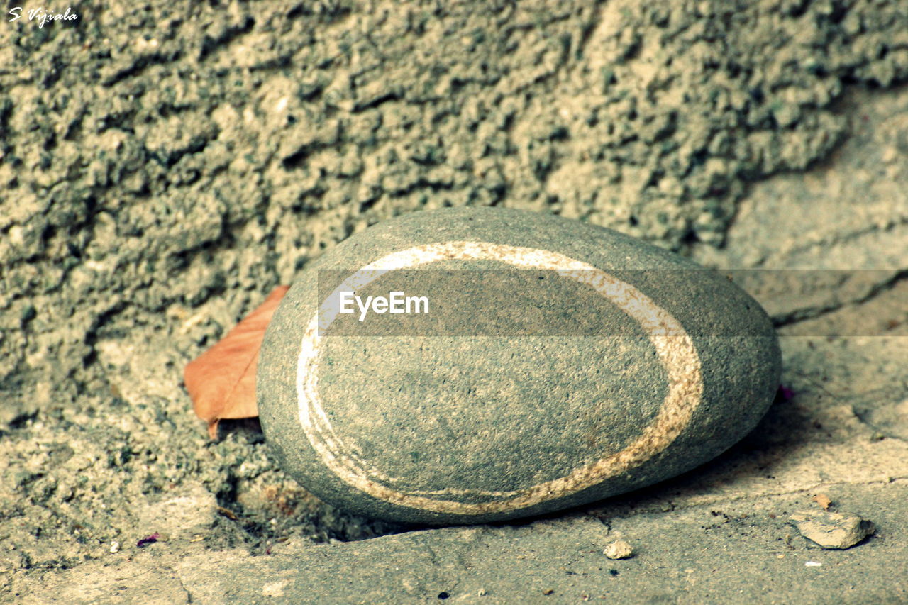 Close-up of stone on ground
