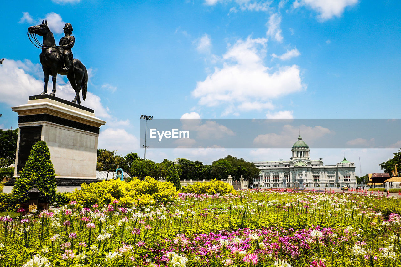 STATUE OF FLOWERING PLANTS