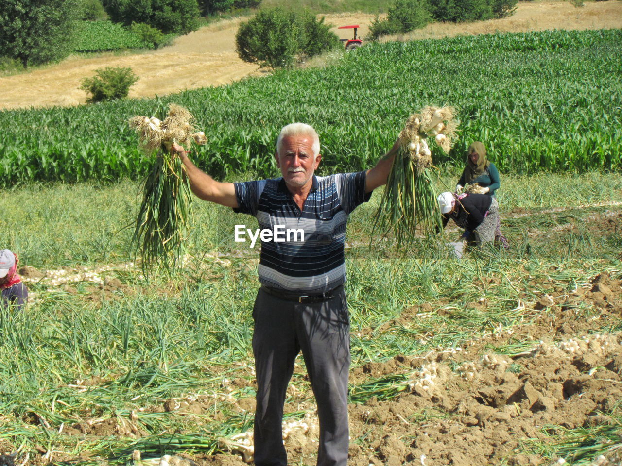 Farmers on field