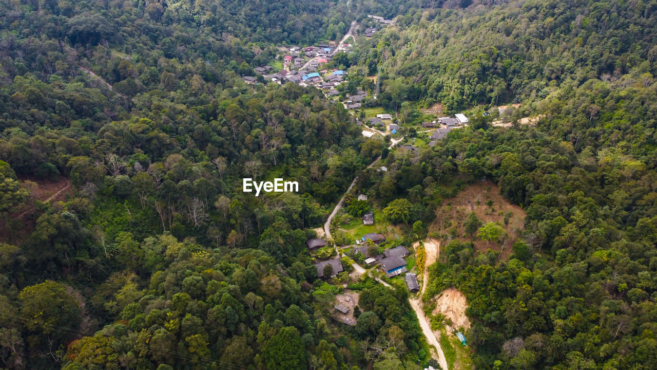 Aerial view with a small village in the middle of the forest in the green countryside