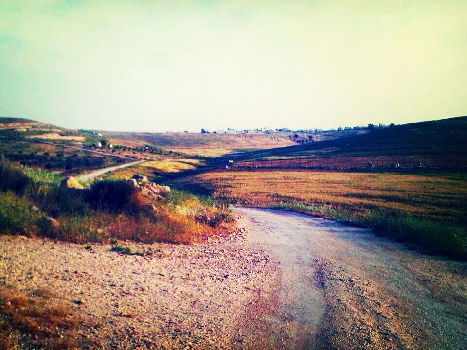 ROAD PASSING THROUGH LANDSCAPE