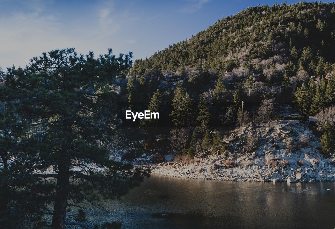 Scenic view of river in forest against sky