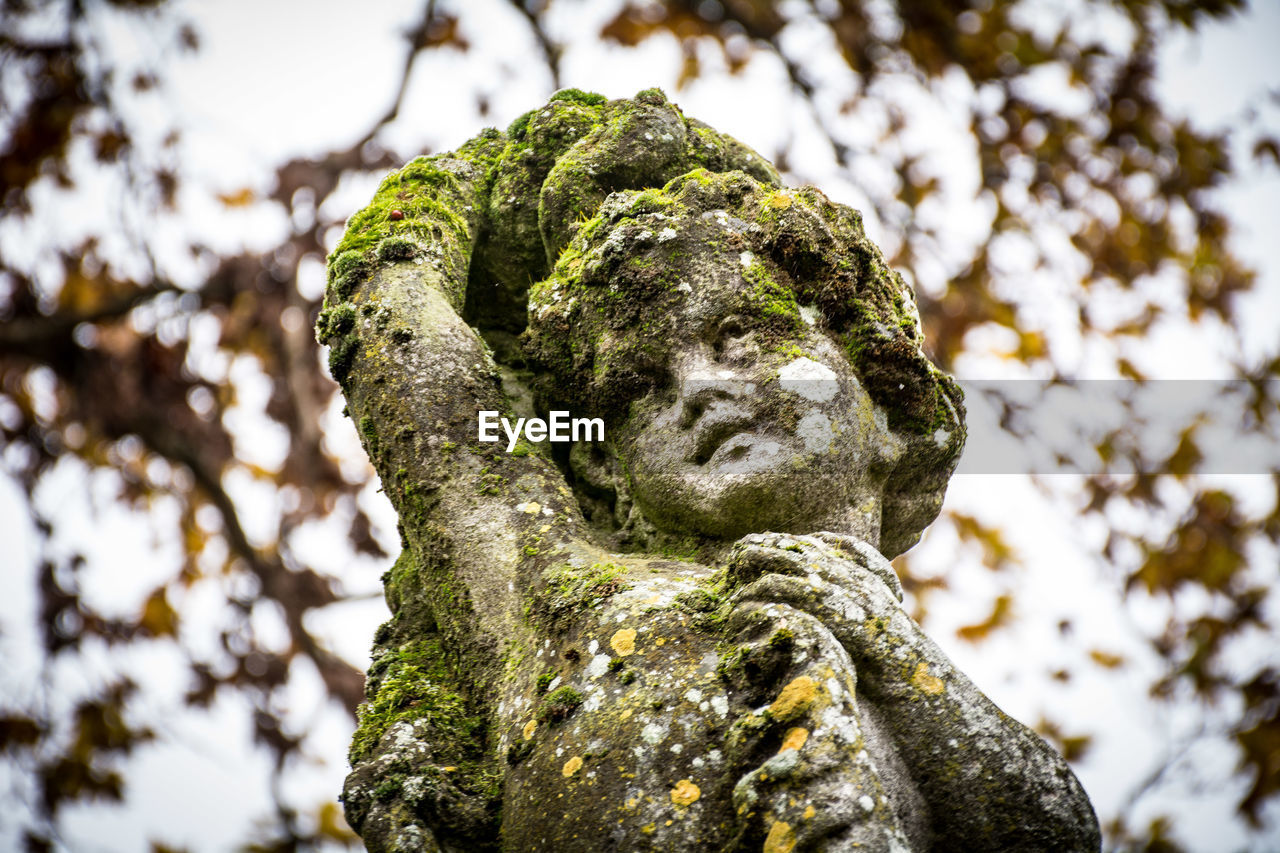 LOW ANGLE VIEW OF STATUE AGAINST TREE