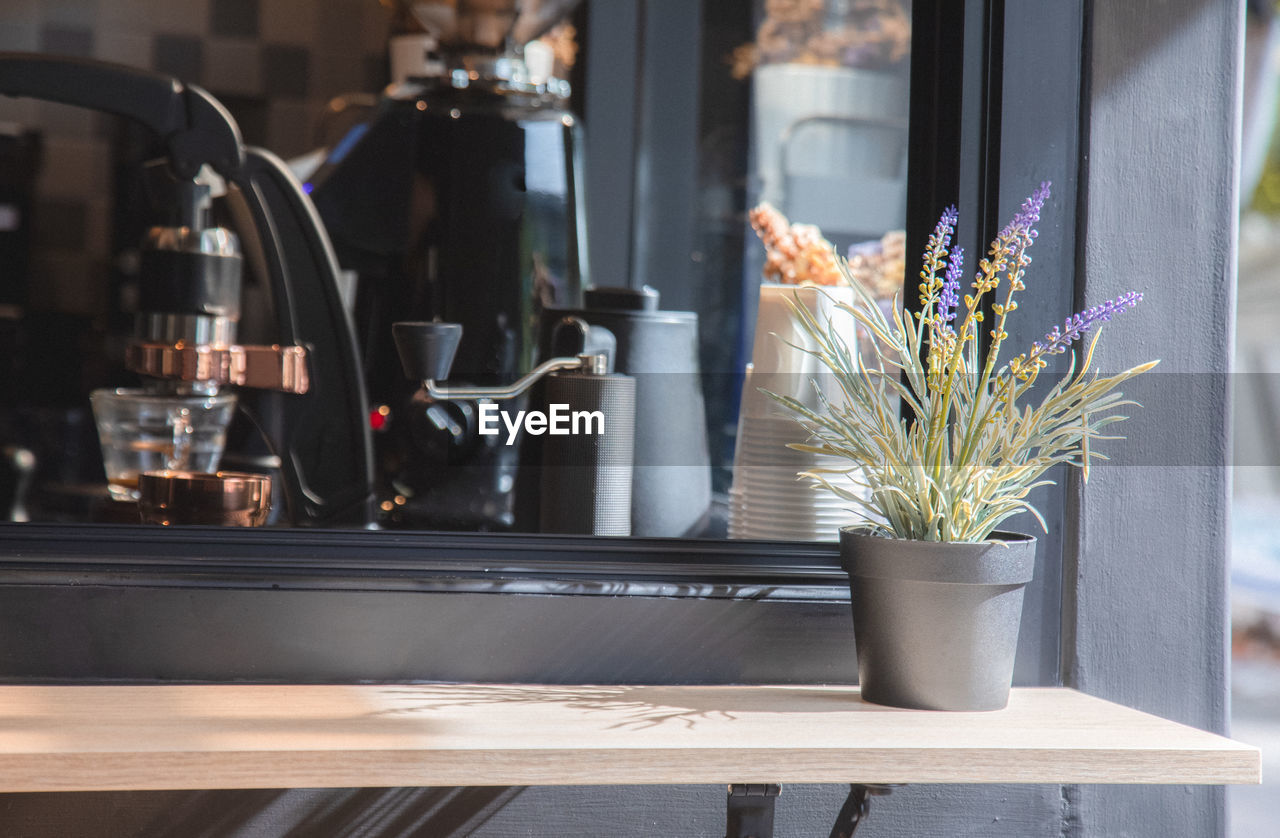 CLOSE-UP OF POTTED PLANT ON TABLE IN WINDOW