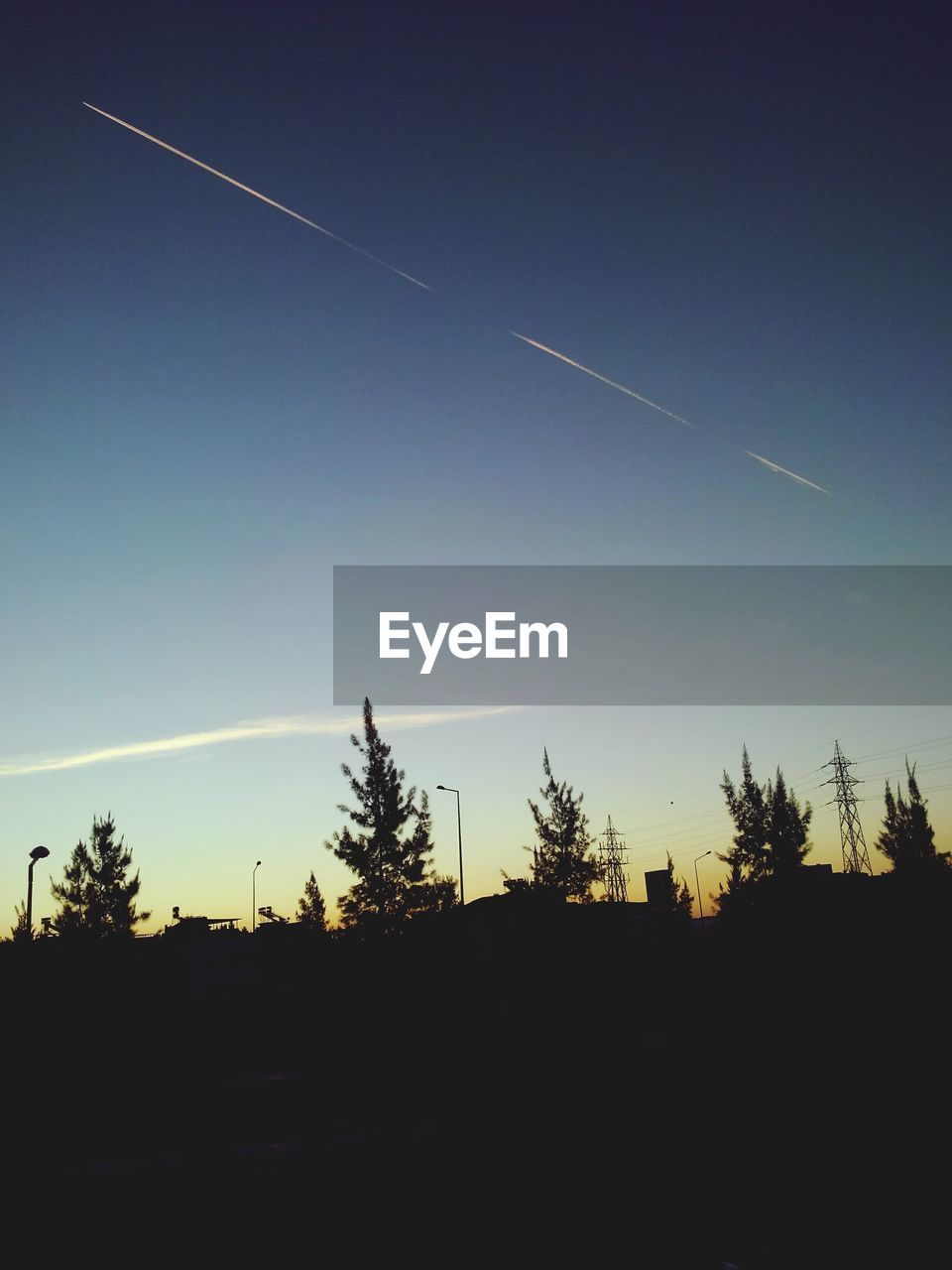 LOW ANGLE VIEW OF TREES ON LANDSCAPE AGAINST SKY