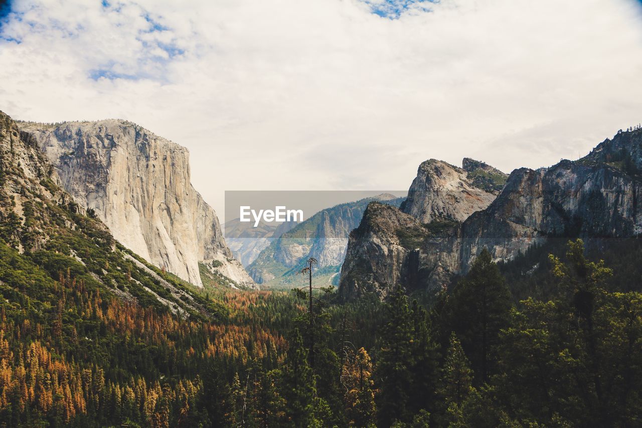 Scenic view of yosemite national park 