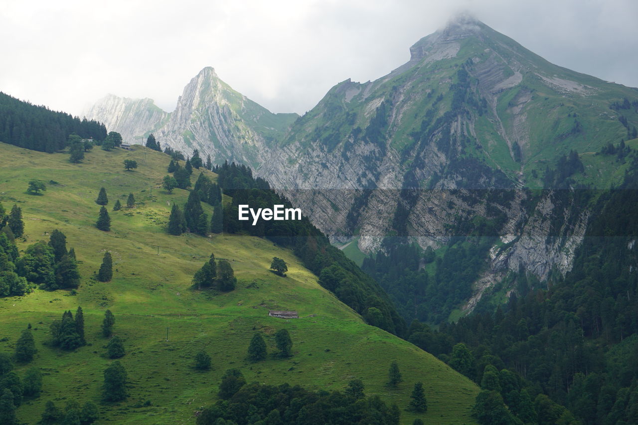 Scenic view of landscape and mountains against sky