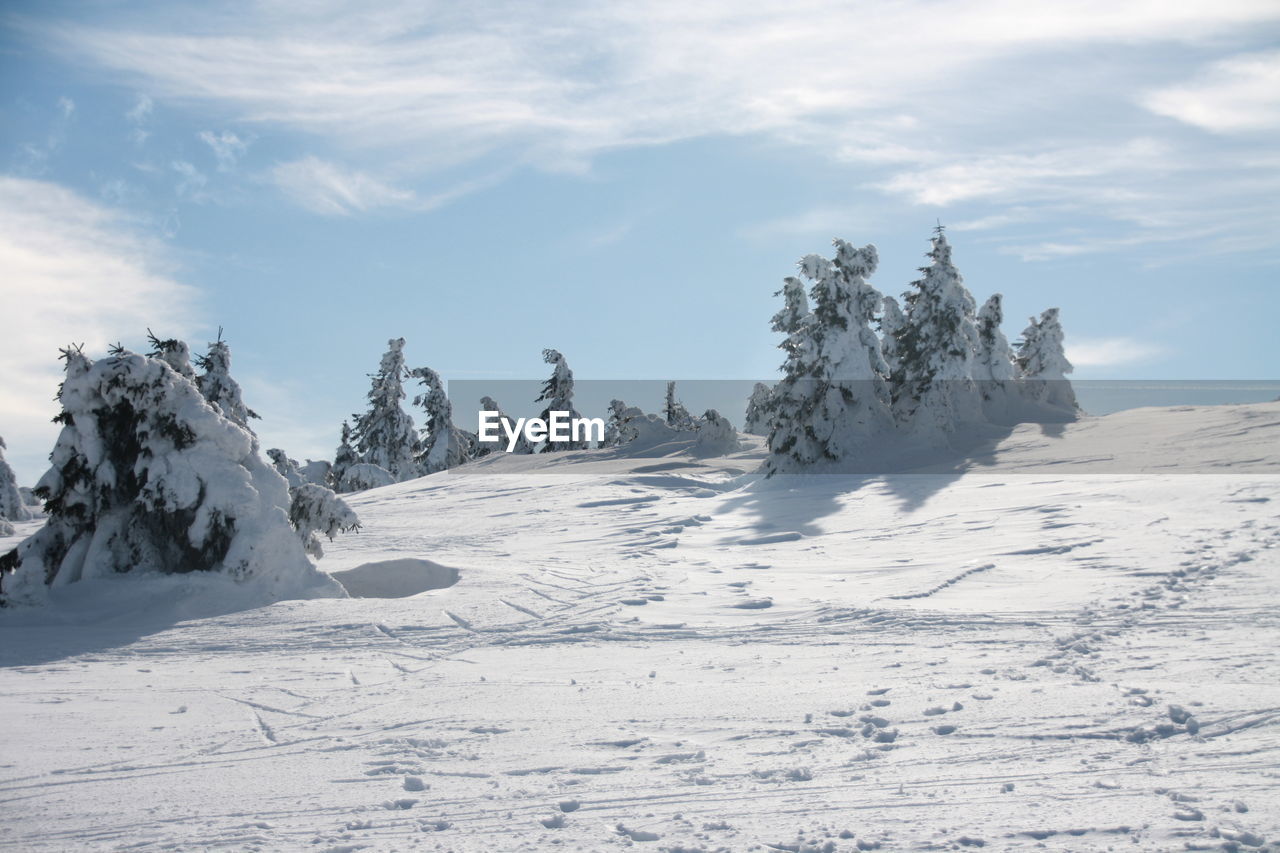 SNOW COVERED LANDSCAPE AGAINST SKY