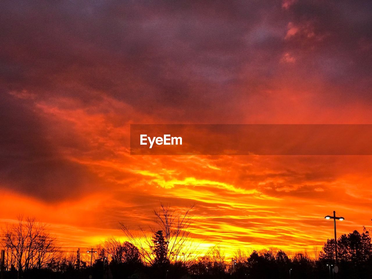 SILHOUETTE BARE TREES AGAINST ORANGE SKY