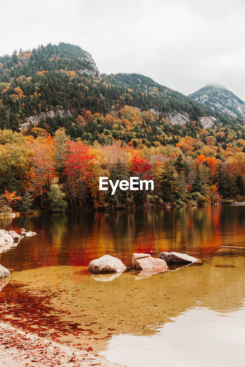 autumn, water, reflection, tree, leaf, nature, mountain, beauty in nature, plant, scenics - nature, river, environment, tranquility, landscape, no people, sky, tranquil scene, wilderness, land, forest, day, outdoors, travel destinations, non-urban scene, orange color, morning, travel