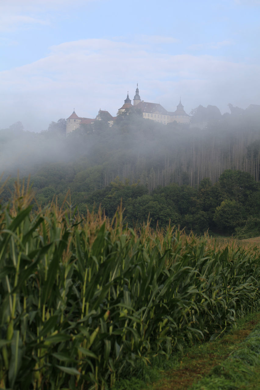 SCENIC VIEW OF LAND AGAINST SKY