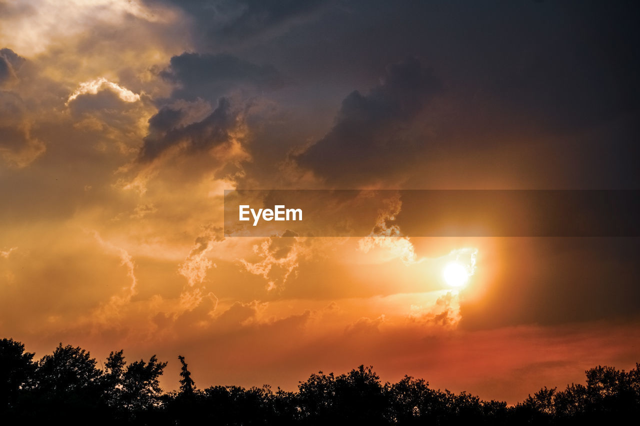 LOW ANGLE VIEW OF SILHOUETTE TREES AGAINST ORANGE SKY