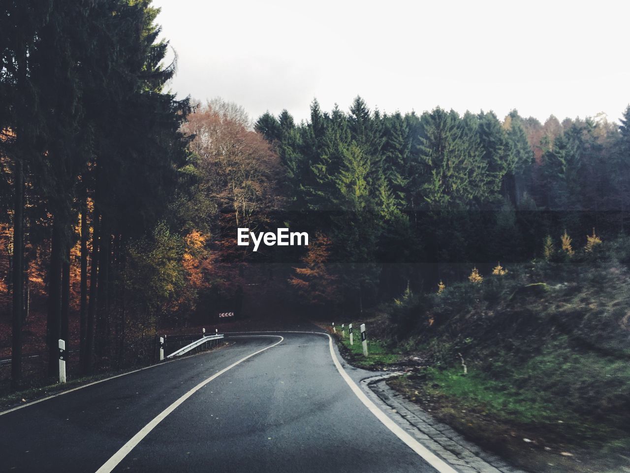 Road amidst trees against clear sky