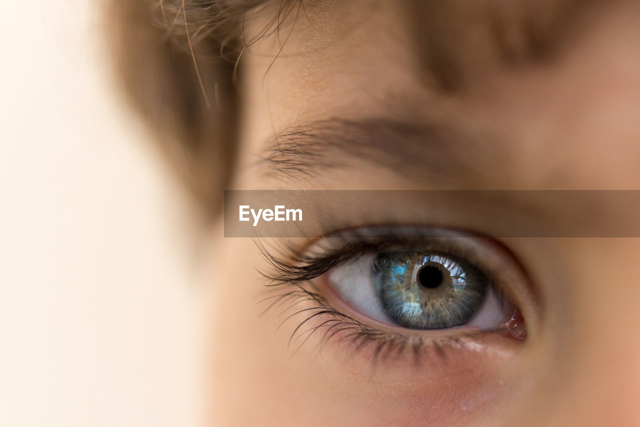 Close-up portrait of boy eye