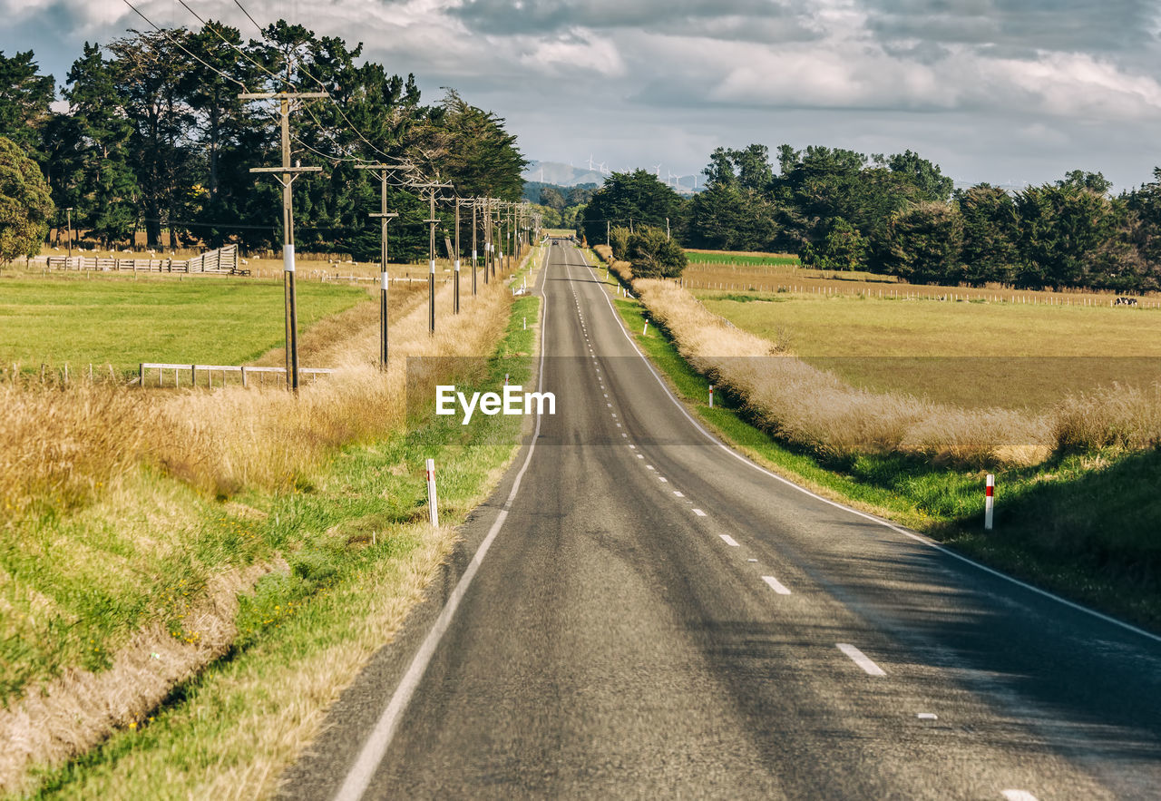 EMPTY ROAD AMIDST TREES AND PLANTS ON FIELD