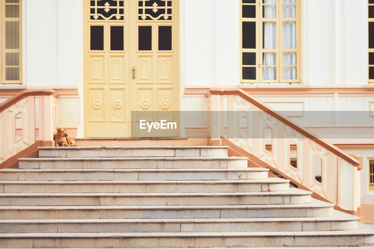 Staircase in front of building