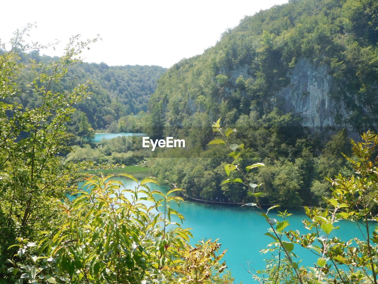 Scenic view of lake in forest against sky