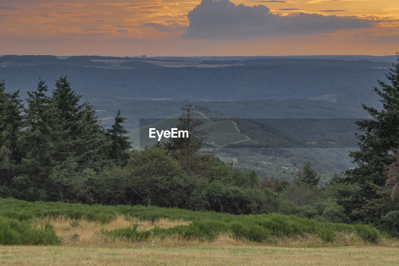 Scenic view of landscape against sky during sunset