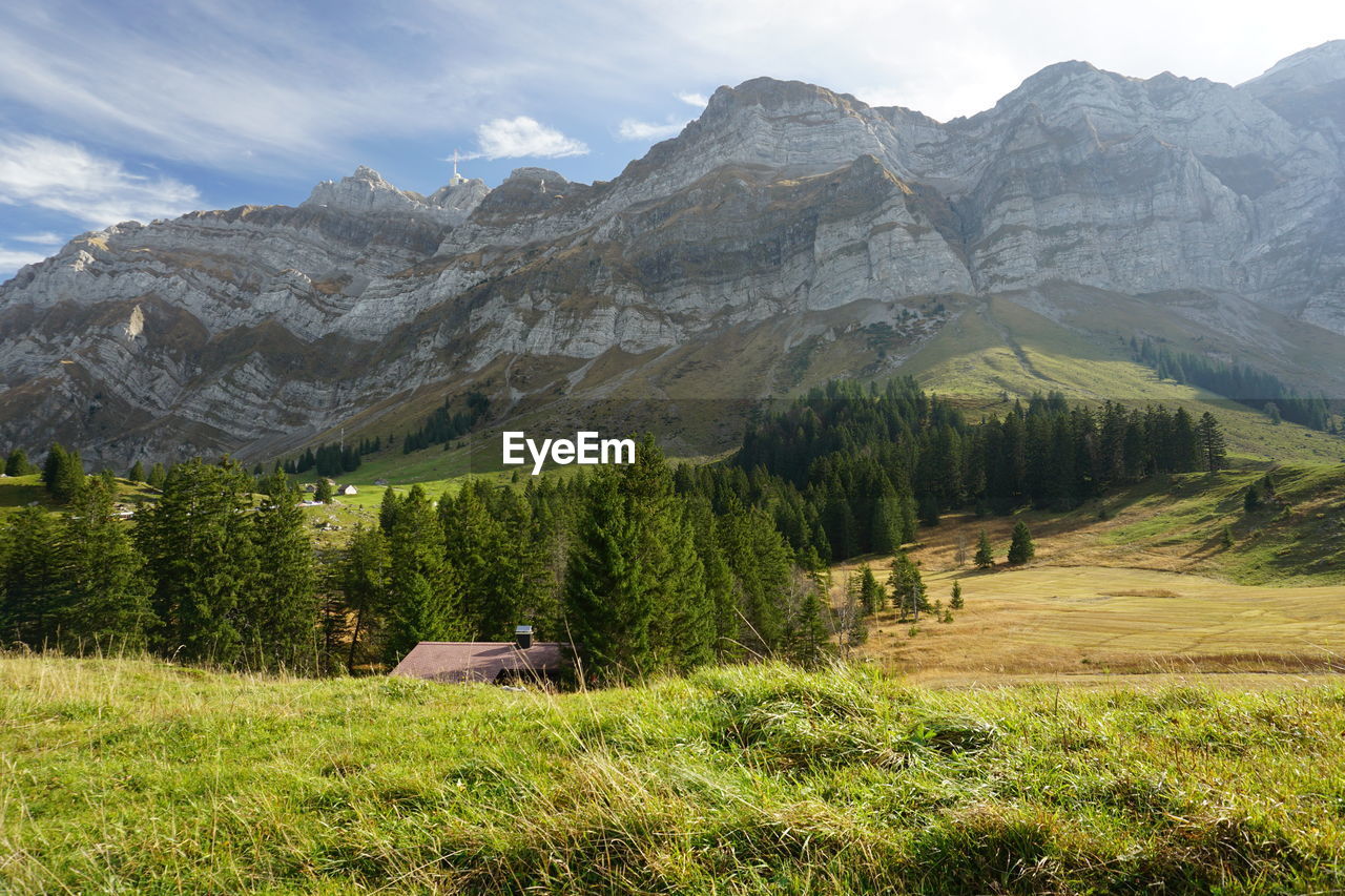 Scenic view of field and mountains against sky