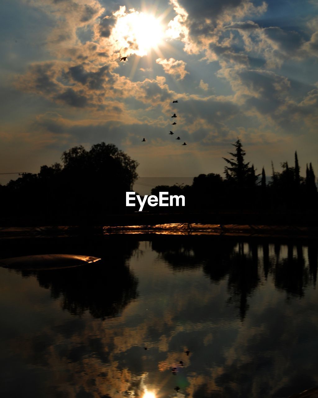 Reflection Sunset Tree Sky Cloud - Sky Water Silhouette Outdoors No People Nature Bird Scenics Beauty In Nature Architecture City Day paisaje Beauty Portrait EyeEm Selects Water Park