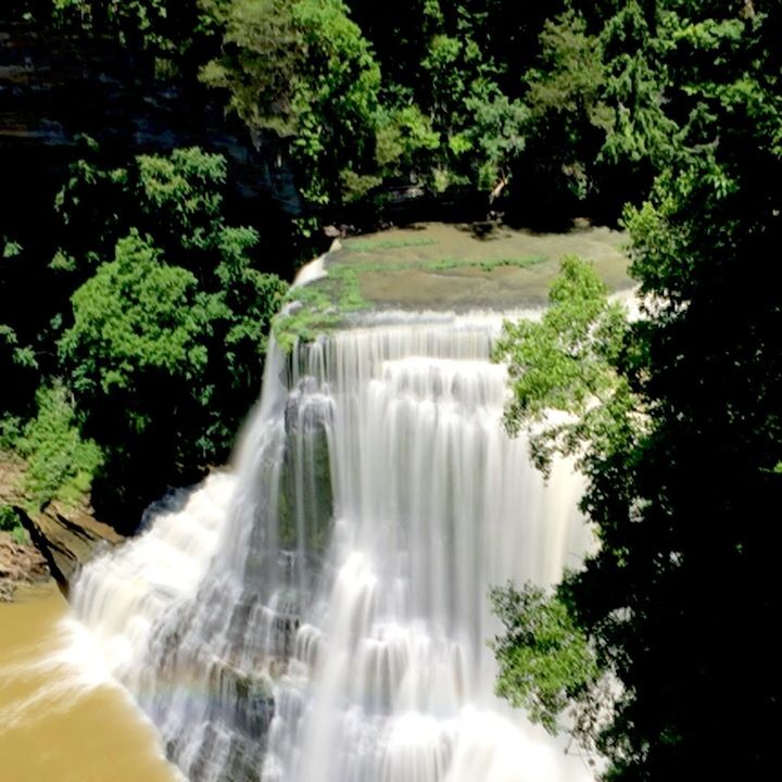 WATERFALL IN FOREST