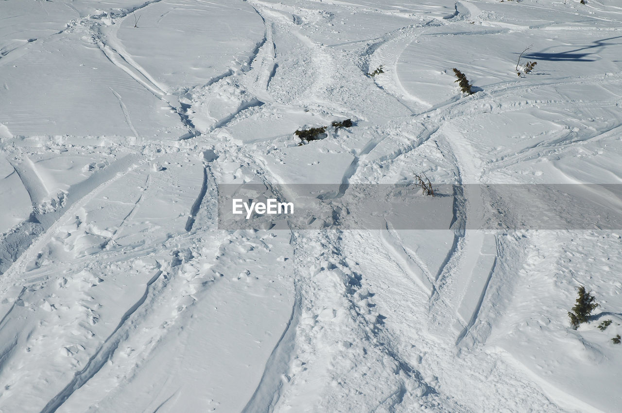 High angle view of ski tracks on snow field