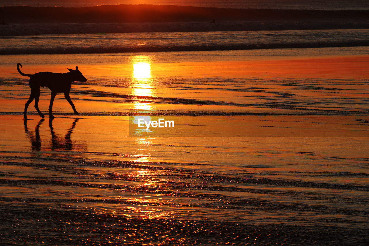 Scenic view of sea at sunset