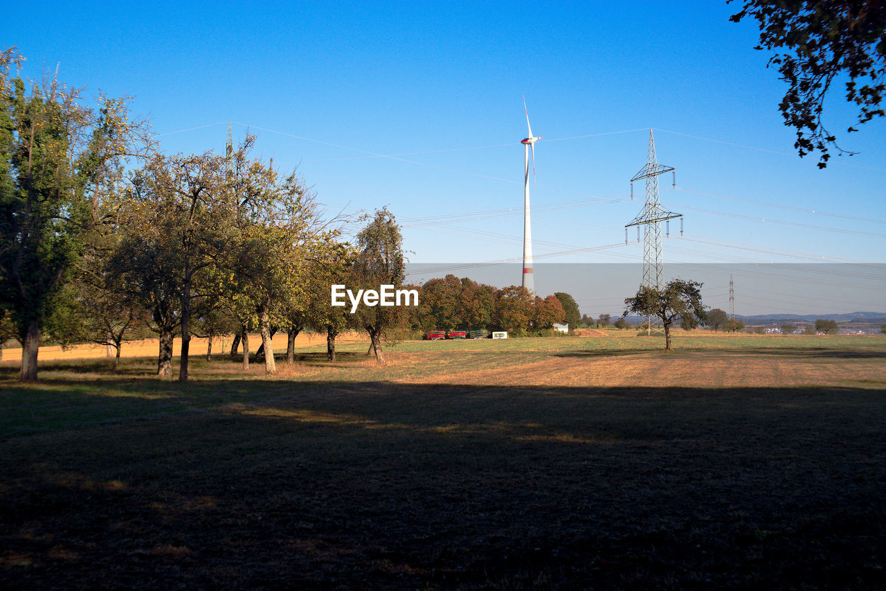 Trees on field against sky