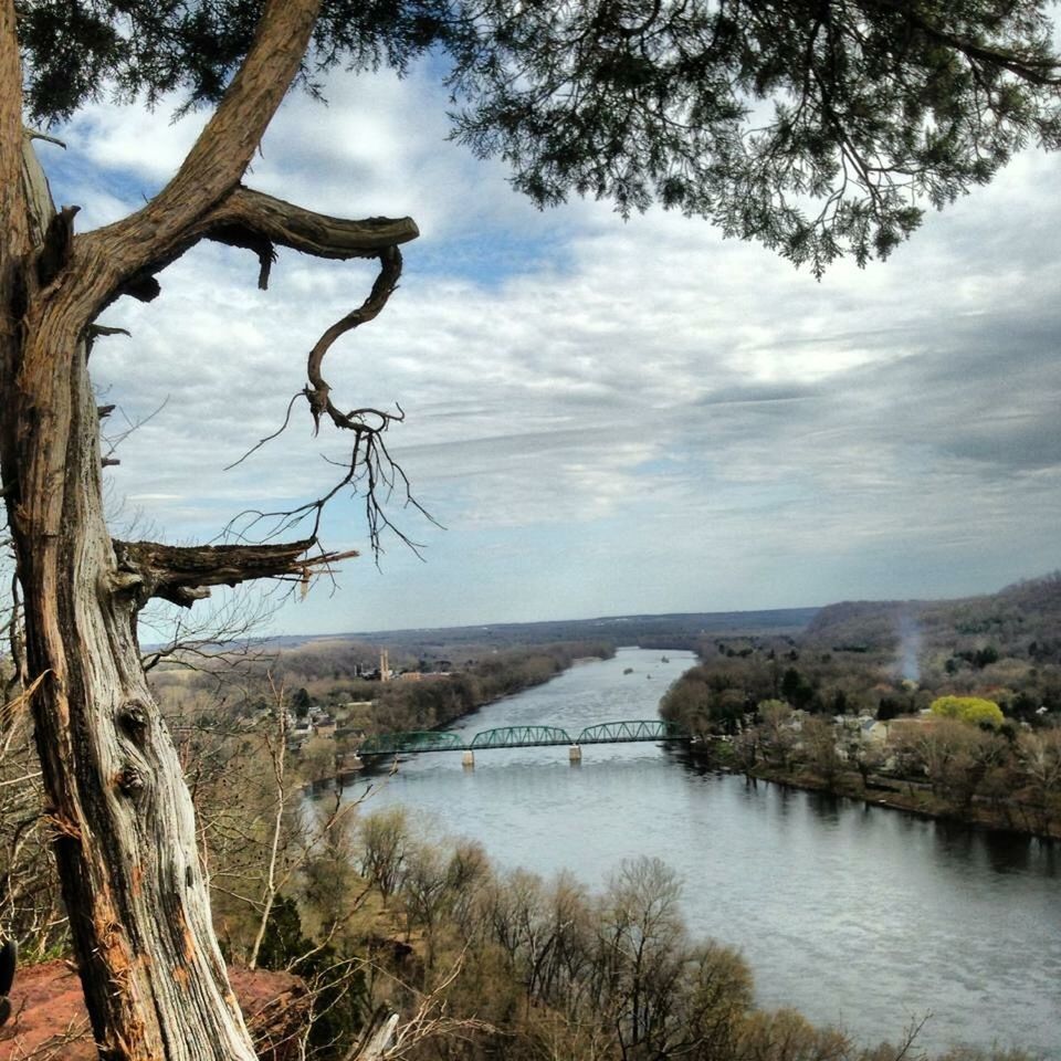 SCENIC VIEW OF RIVER BY TREE AGAINST SKY