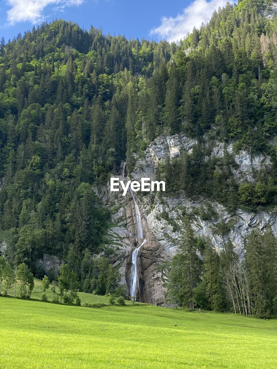 Scenic view of trees and waterfall on mountain
