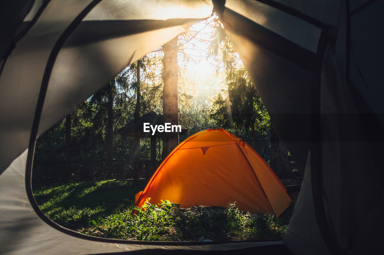 Tent in forest