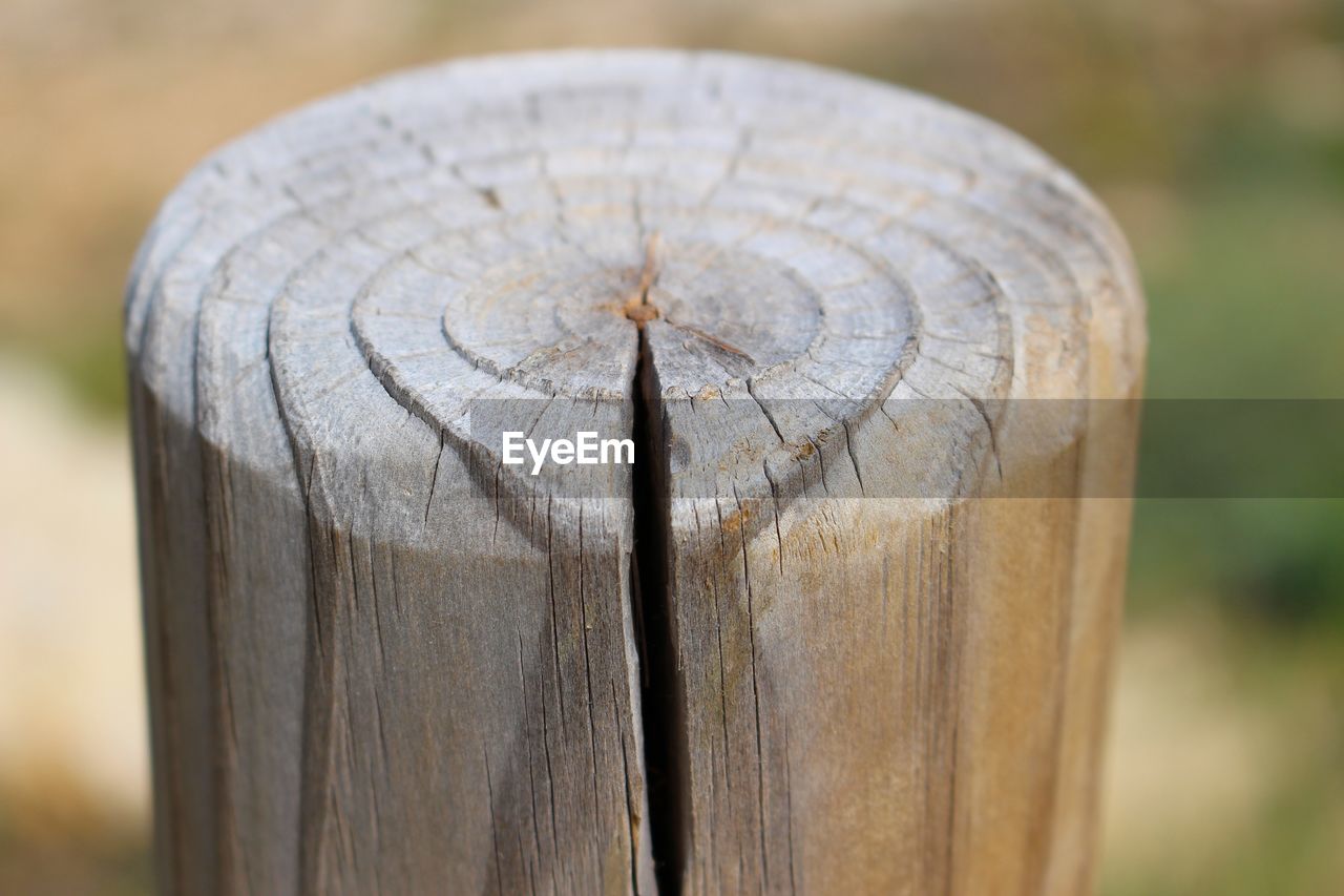 Close-up of wooden post