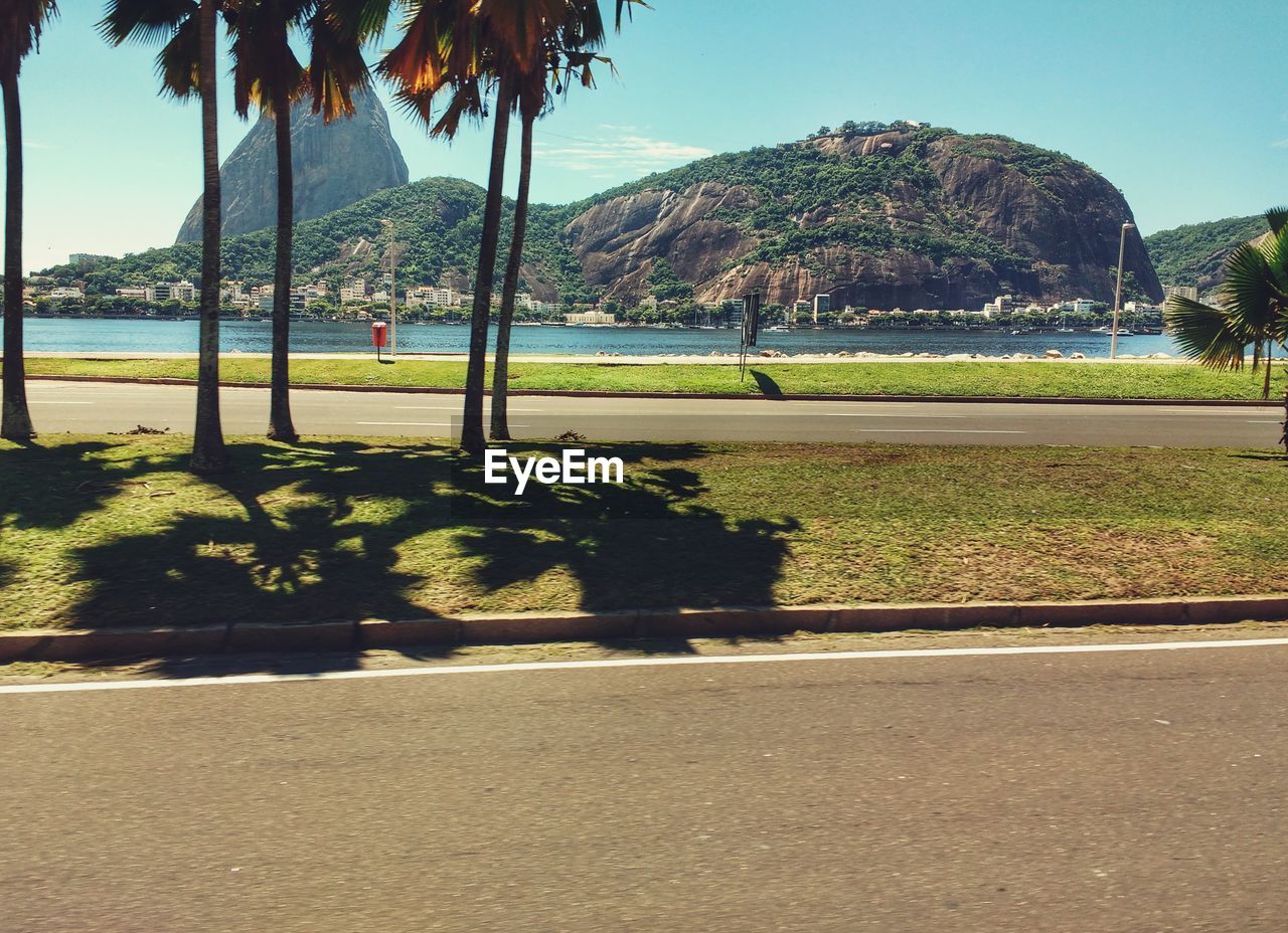 VIEW OF TREES BY SEA