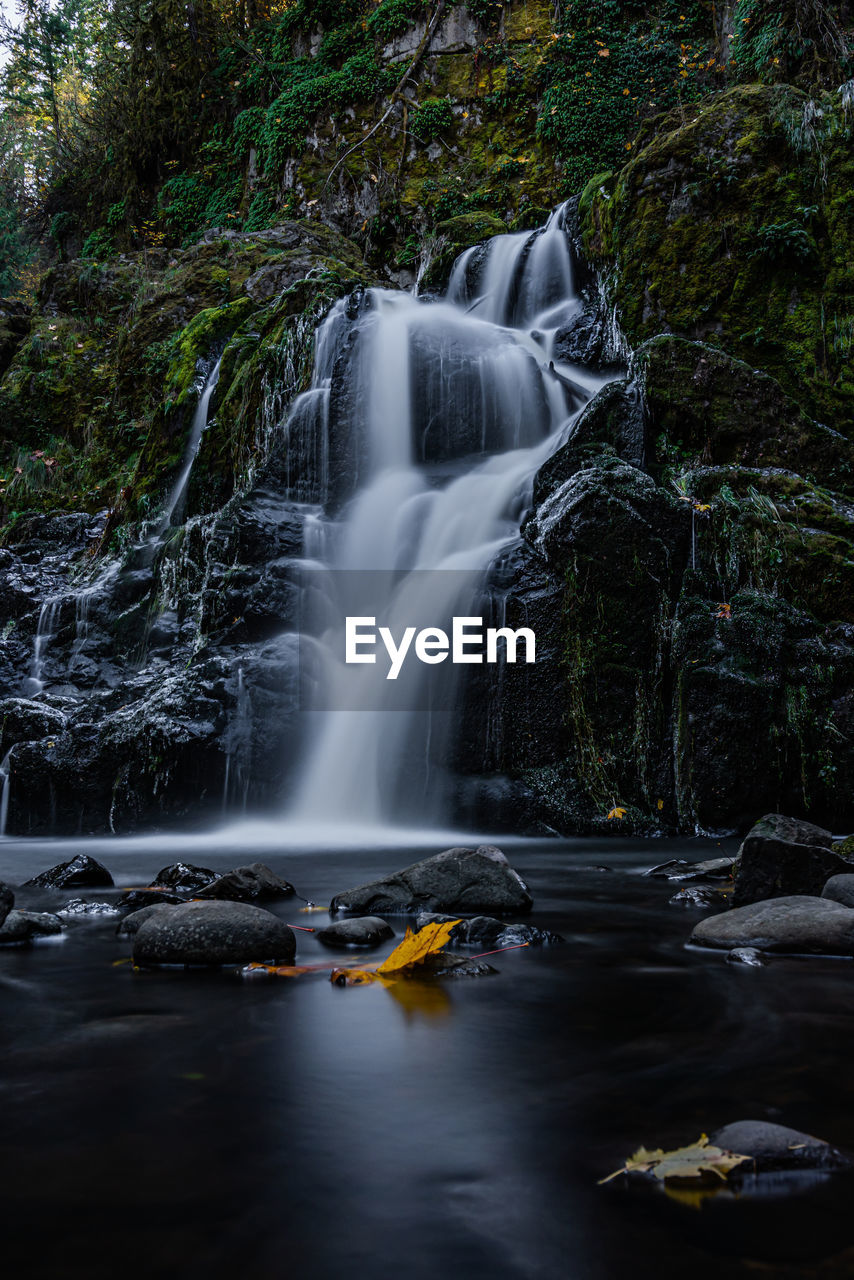 View of waterfall in forest