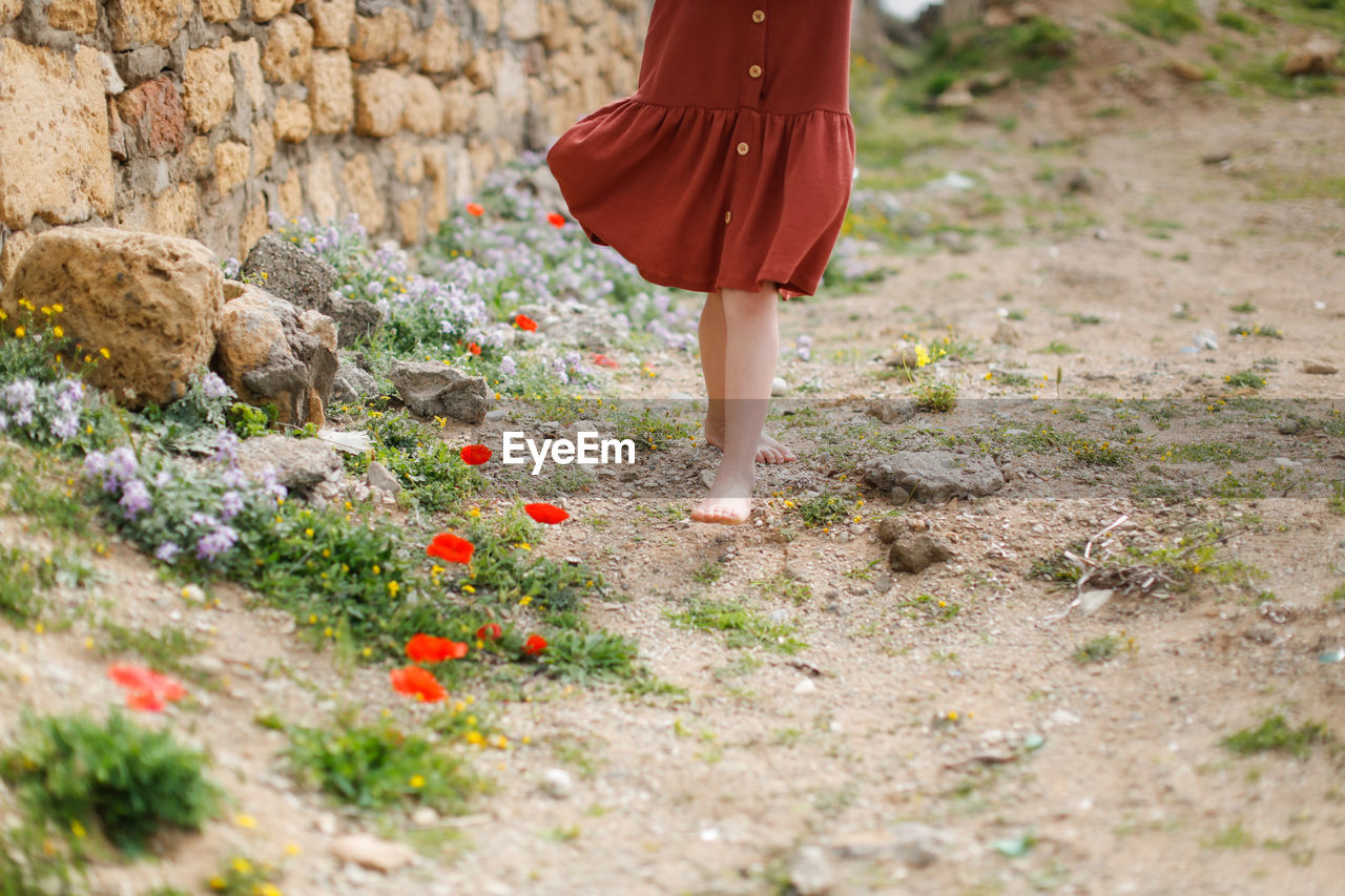 Children's feet barefoot goes over stones and wild flowers. summer holidays, 