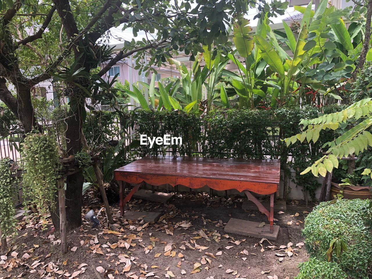 plant, plant part, leaf, tree, seat, nature, bench, growth, no people, absence, day, park, empty, beauty in nature, outdoors, wood - material, tranquility, water, autumn, leaves, park bench