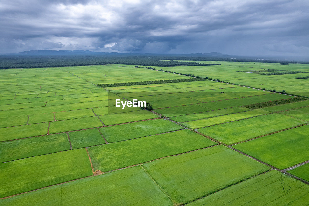 High angle view of agricultural field against sky