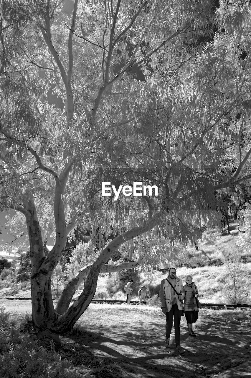 REAR VIEW OF PEOPLE WALKING ON TREE