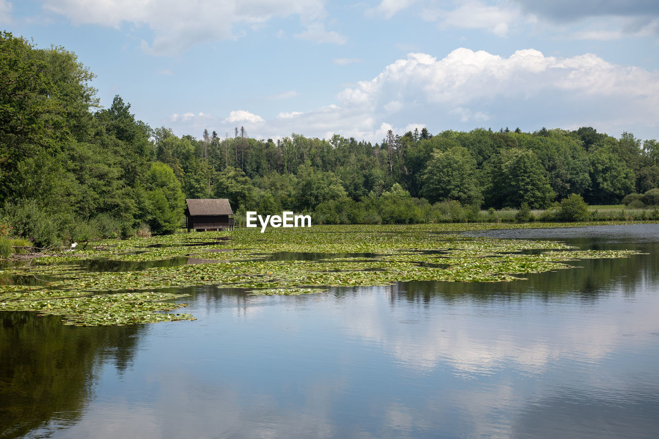 SCENIC VIEW OF LAKE AGAINST TREES