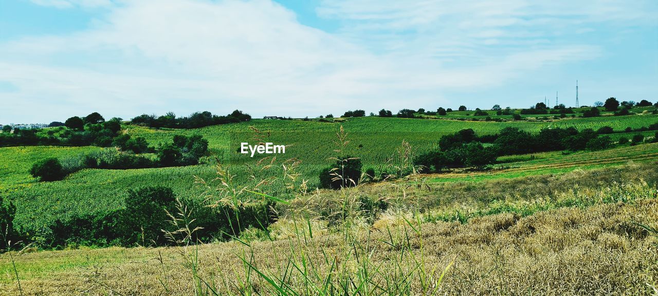 SCENIC VIEW OF FARMS AGAINST SKY