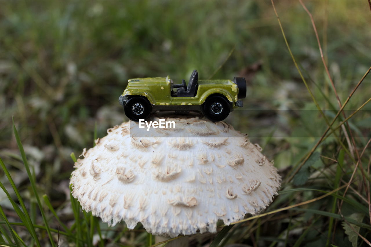 CLOSE-UP OF TOY ON GRASS